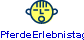 PferdeErlebnistag